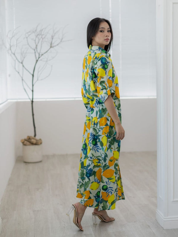 Isla Bonita Long-Sleeve Cotton Maxi Shirt Dress - Lemon Print