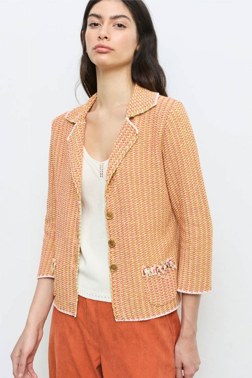 Aldo Martins Knit Jacket - Multicolour